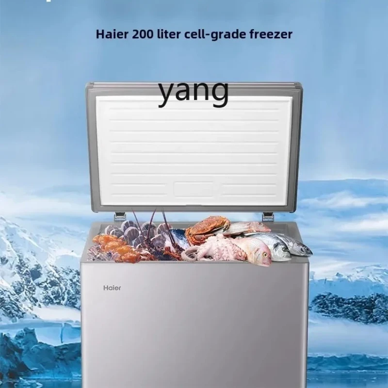 CX household first-class energy efficiency freezer commercial -40 ℃ direct cooling micro-frost freezer flagship