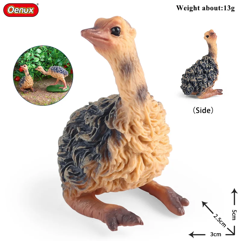 Oenux Reptile Model Mini Wild Ostriches Lizard Chameleon Frog Bird Forest Animals Action Figure Collection Cute Toys Kids Gift