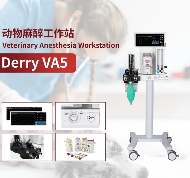 Top Selling Derry Petcare Portable Vet Surgical Equipment Animal Veterinary Instrument Anesthesia Machine