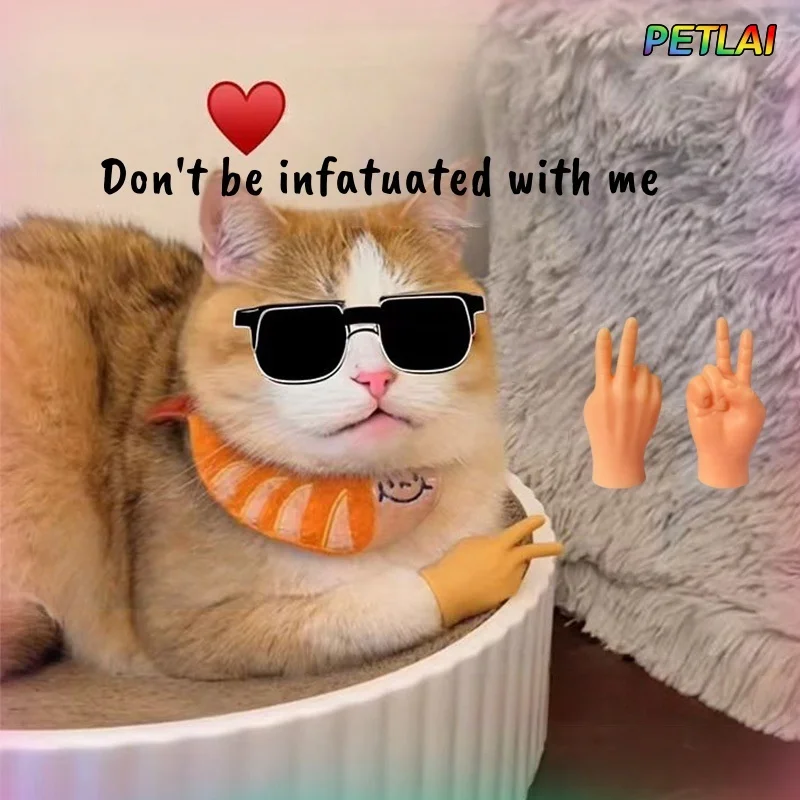 

Rock Paper Scissors Fingers Interactive Toys for Cat Dog Funny Highly Elastic Claws Petting Mini Biye Gloves Prank Kittens