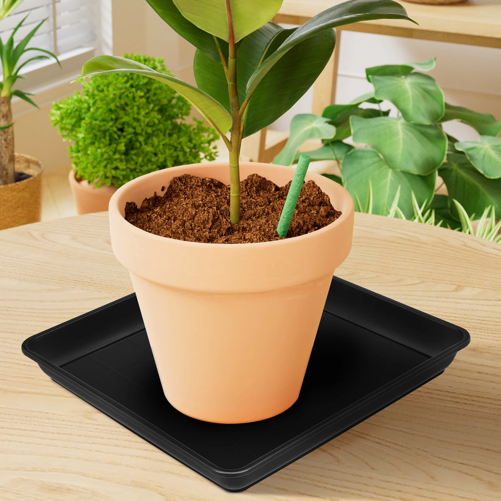 

2Pcs Planter Saucers Square Plastic Plant Saucer Fine Workmanship Waterproof for Indoor Outdoor Potted Plants Drip Catcher Trays