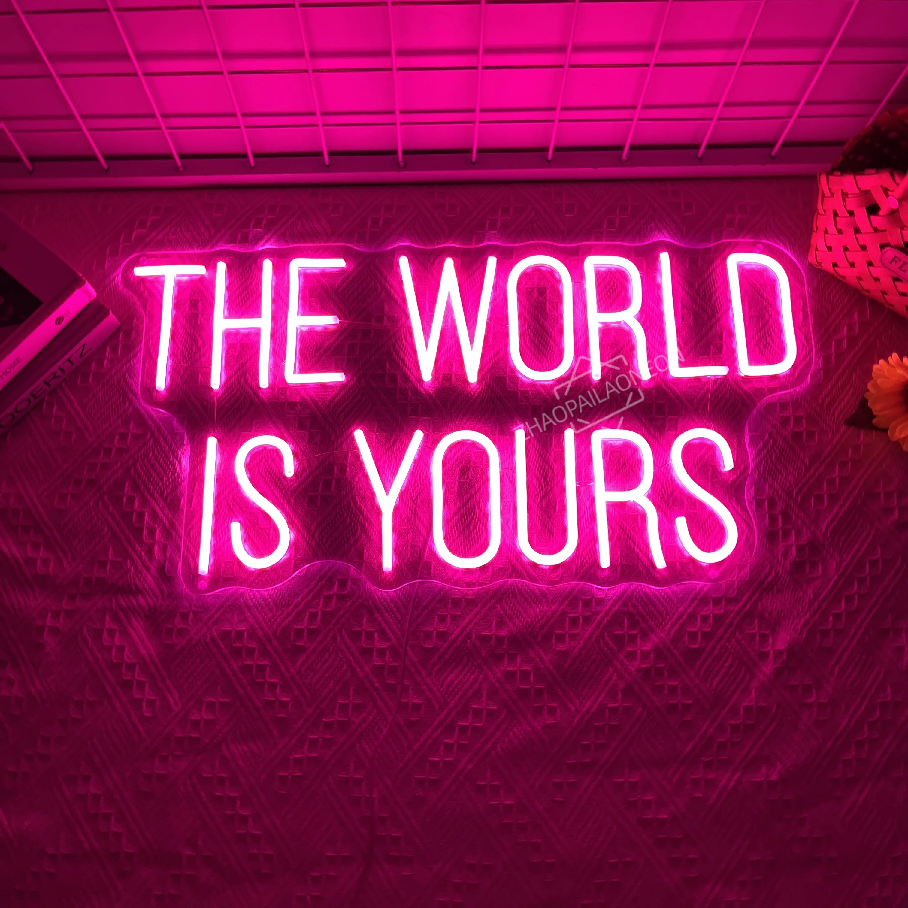

The World is Yours Neon Sign Bedroom Wall Decor LED Neon Light Sign Office Wedding Man Cave Game Room Wall Decor Birthday Gift