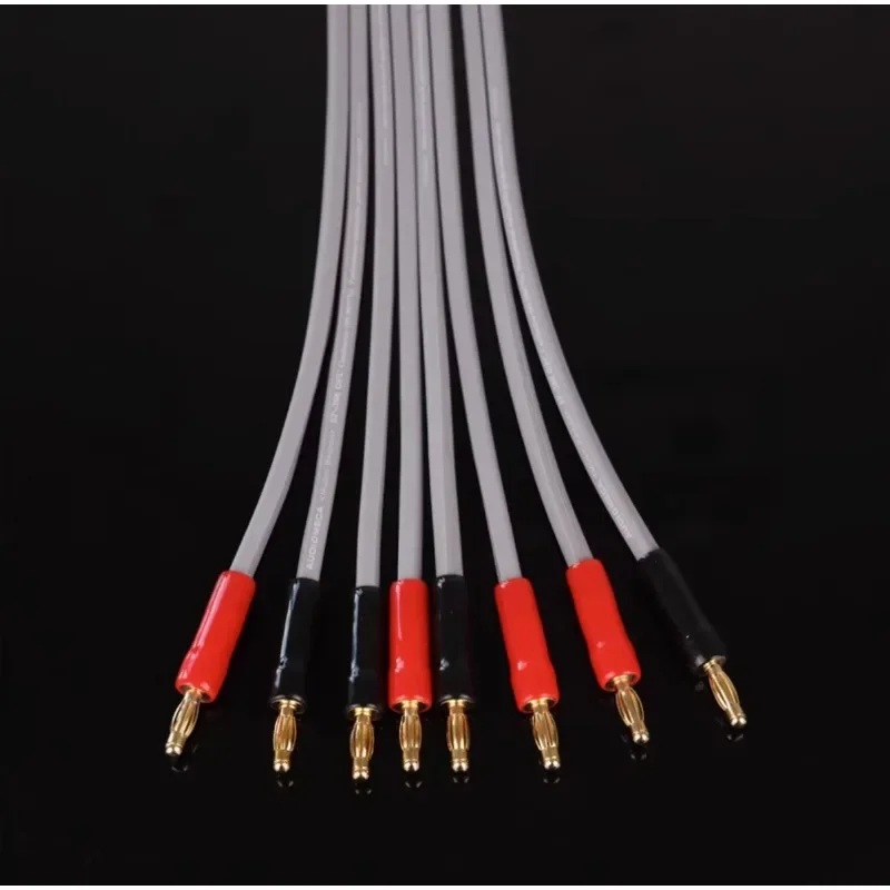 Oxygen Free Copper Speaker Cable Surround Line Entry-level with Audio Banana Plug Connection