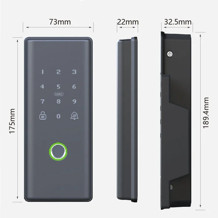 Double Sided Fingerprint Lock For Swing Fence Gate Villa Front Door Optional Tuya Smart APP Control Wood Door Lock