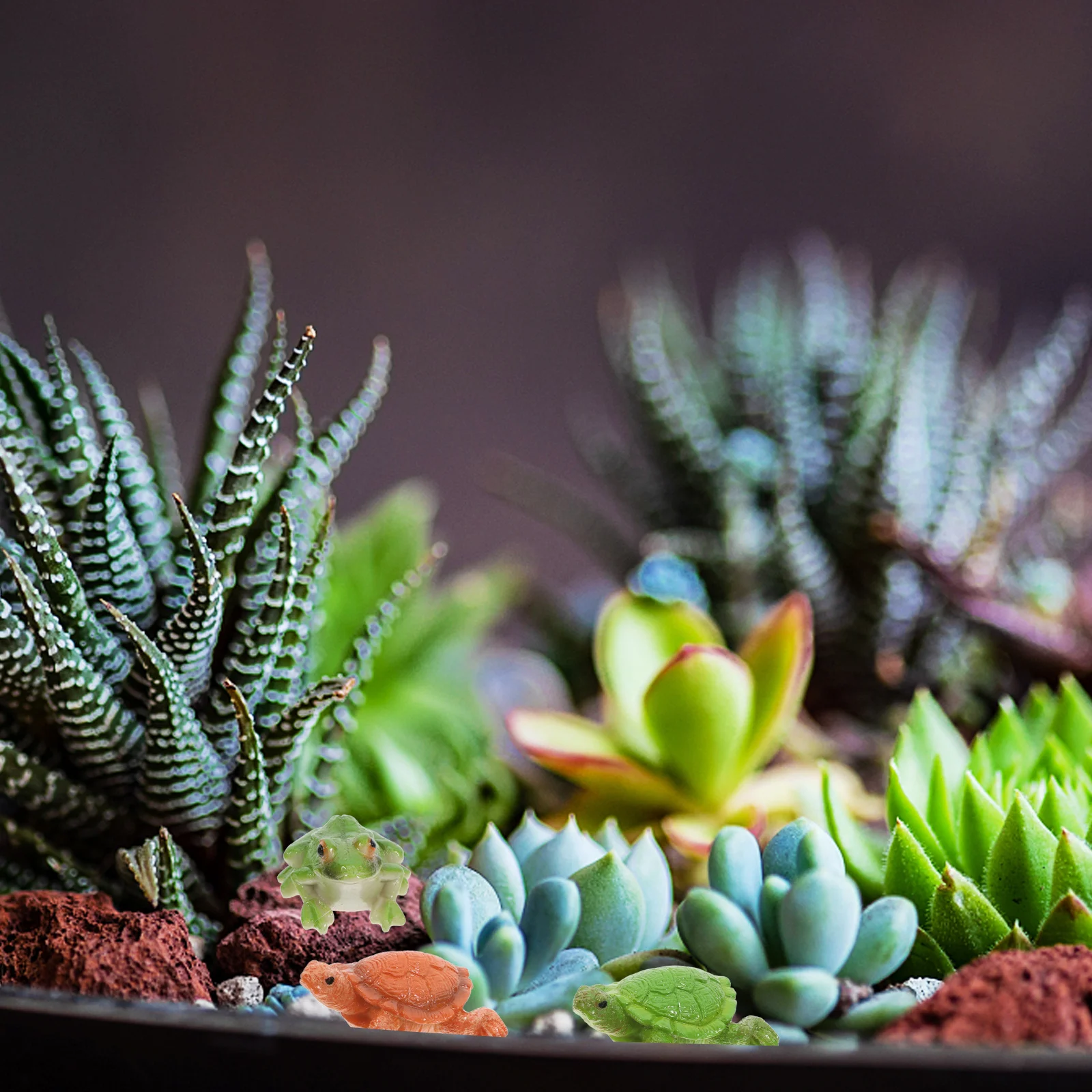 4 قطعة في الهواء الطلق الراتنج الضفدع السلاحف حديقة الحيوان الحلي تماثيل صغيرة للفناء ساحة المشهد الصغير الديكور الراتنج الضفدع تمثال #3