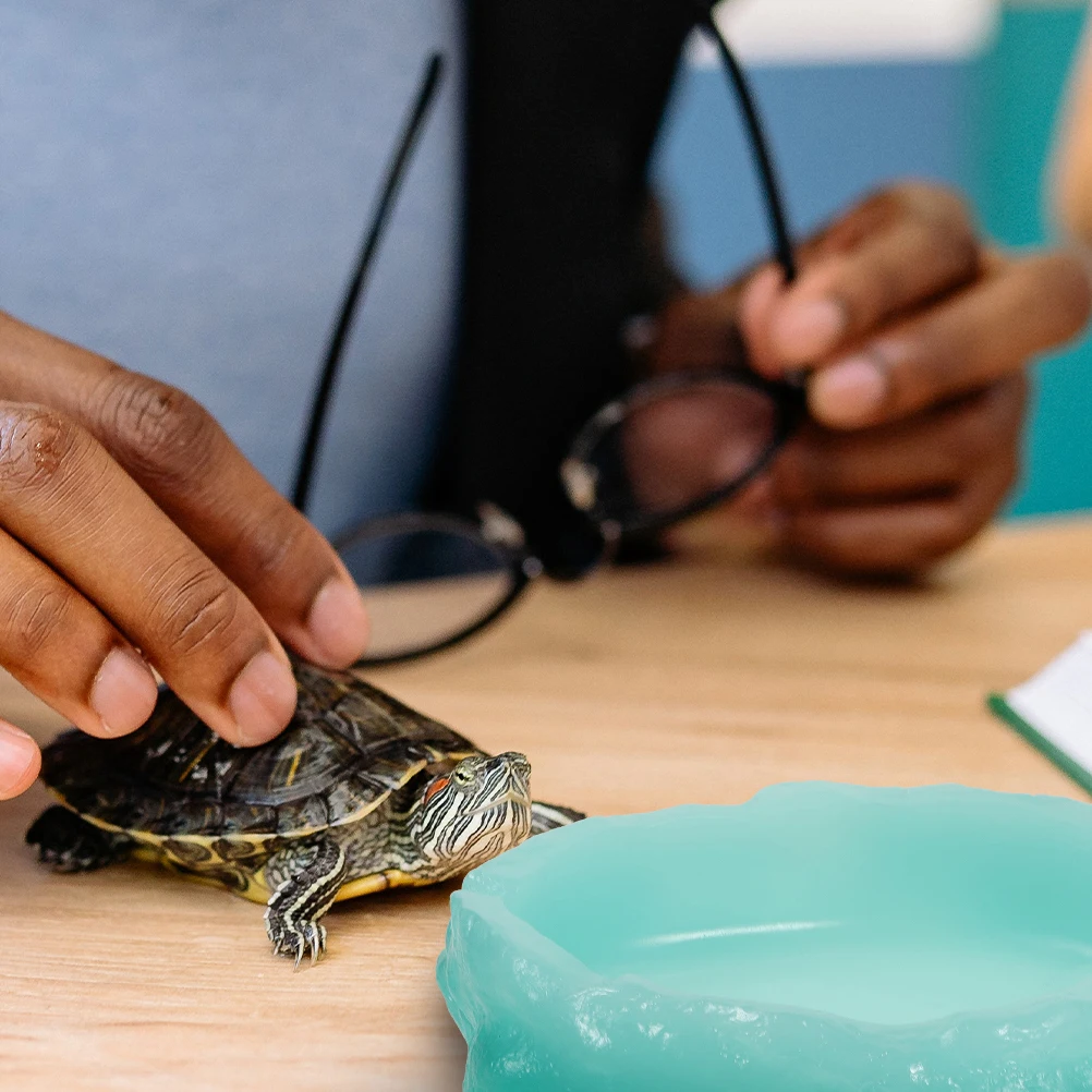

2pcs Luminous Bowl Resin Night Glow Feeding Dish For Turtle Terrarium Water Food Holder Non-Slip Reptile Feeding Supplies Pet