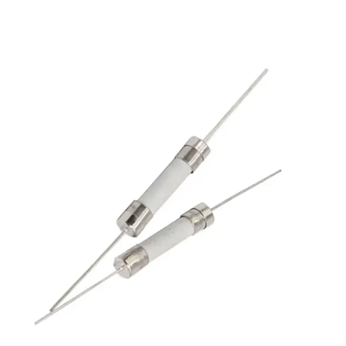 【10PCS】6X30MM Ceramic Fuse With Pin 10A 15A 20A 25A 30A 250V Pin Blow Fuse With legs