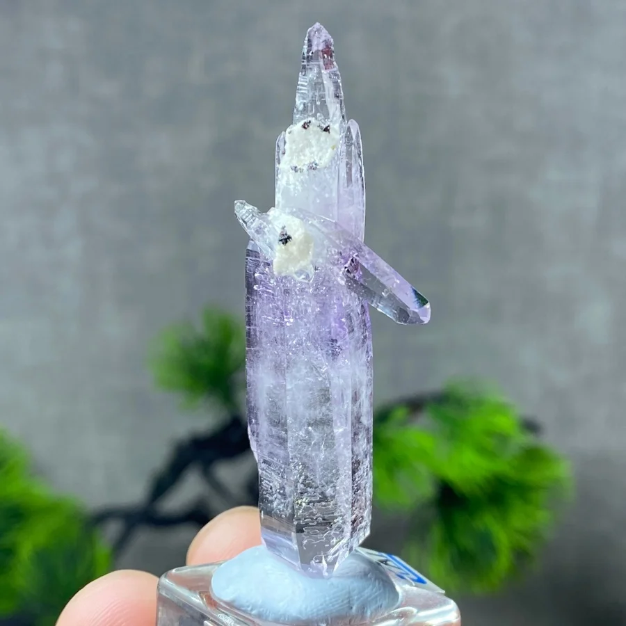 Mexico Natural Vera Cruz Amethyst Rough  Crystal  Quartz Specimen Healing Energy Stone For Home Desk Decor Precious Gift