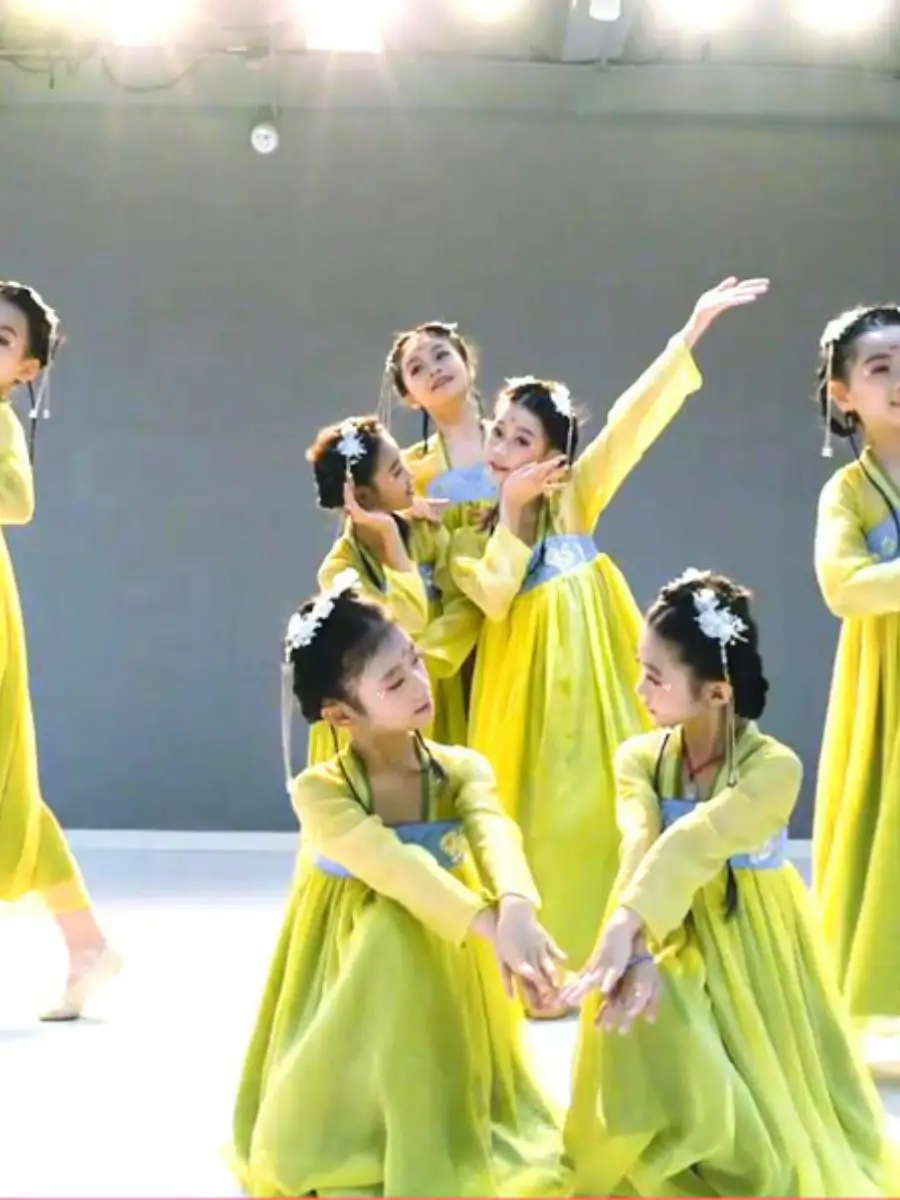 

Classical Chinese Costume Long Sleeve Dance Outfit for Girls Traditional Ethnic Performance Clothing Fairy Tale Princess Dress