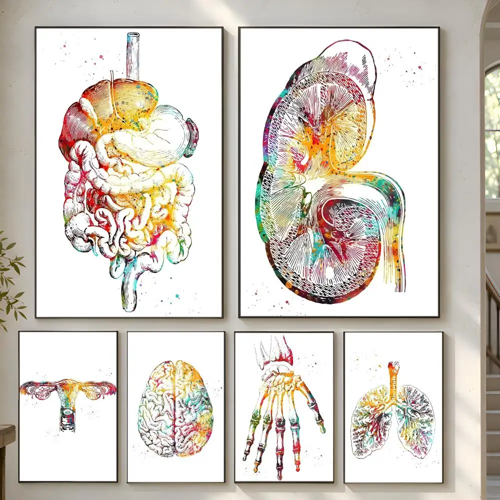 Scandinavian Simple Human Anatomy Spine Heart Brain Teeth Poster Home Artwork For Living Room Bedroom Office Dorm Apartment Gift