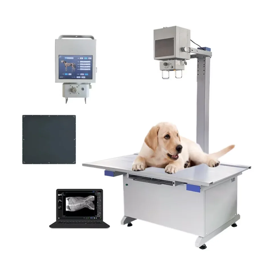 Economic Medical Grade Vet X-ray Machine for Dog Cat Animal Imaging Pet Medical Device