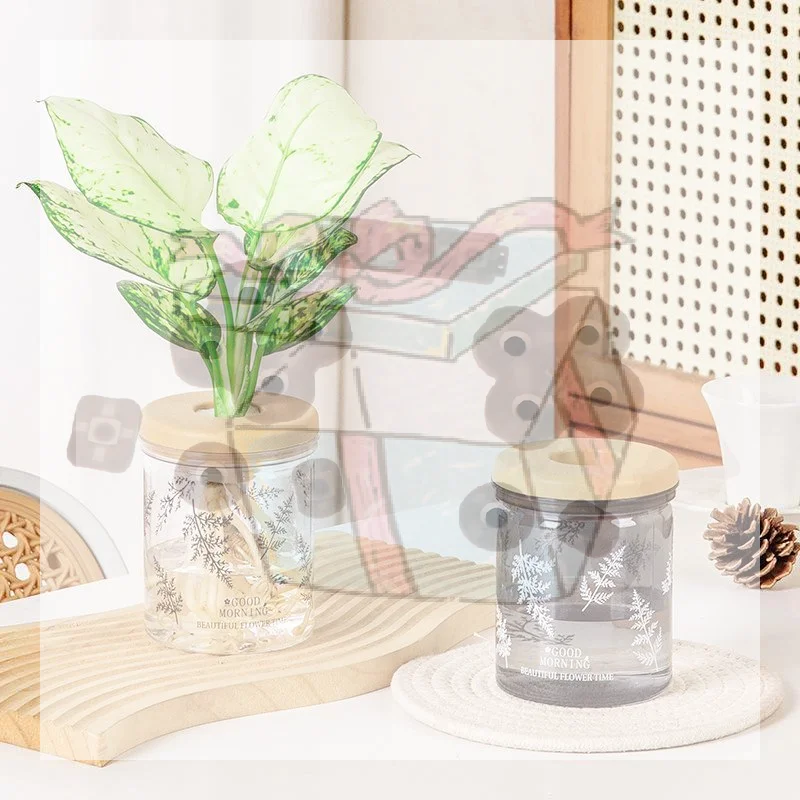 【CC】Clear Hydroponic Pot Water Planting Vase Stylish Propagation Pot Container Aquaponic Planter Decor