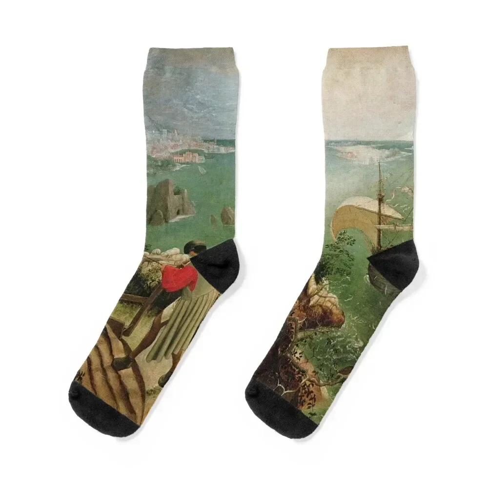 Pieter Bruegel Icarus Socks man with print Men Socks Luxury Brand Women's