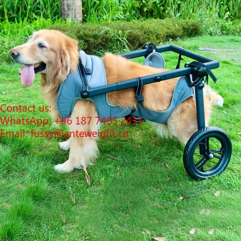 Professional Mobility Aid for Large Pet Breeds, Rehabilitation Cart with Walking Support | Enables Exercise & Daily Assistance