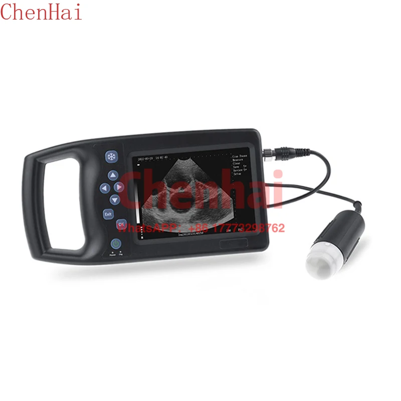 Amain ODM/OEM China Supplier Portable Handheld Veterinary Ultrasound Diagnostic Machine AMVU-53 for Animal Use