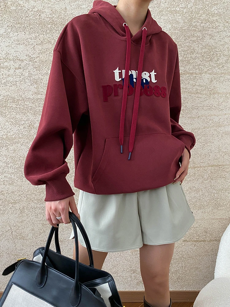 [LANMREM] Embroidery Design Pullover Sweatshirt Women Contrast Color Hooded Casual Loose Warm Female Tops 2024 Autumn New 26C647