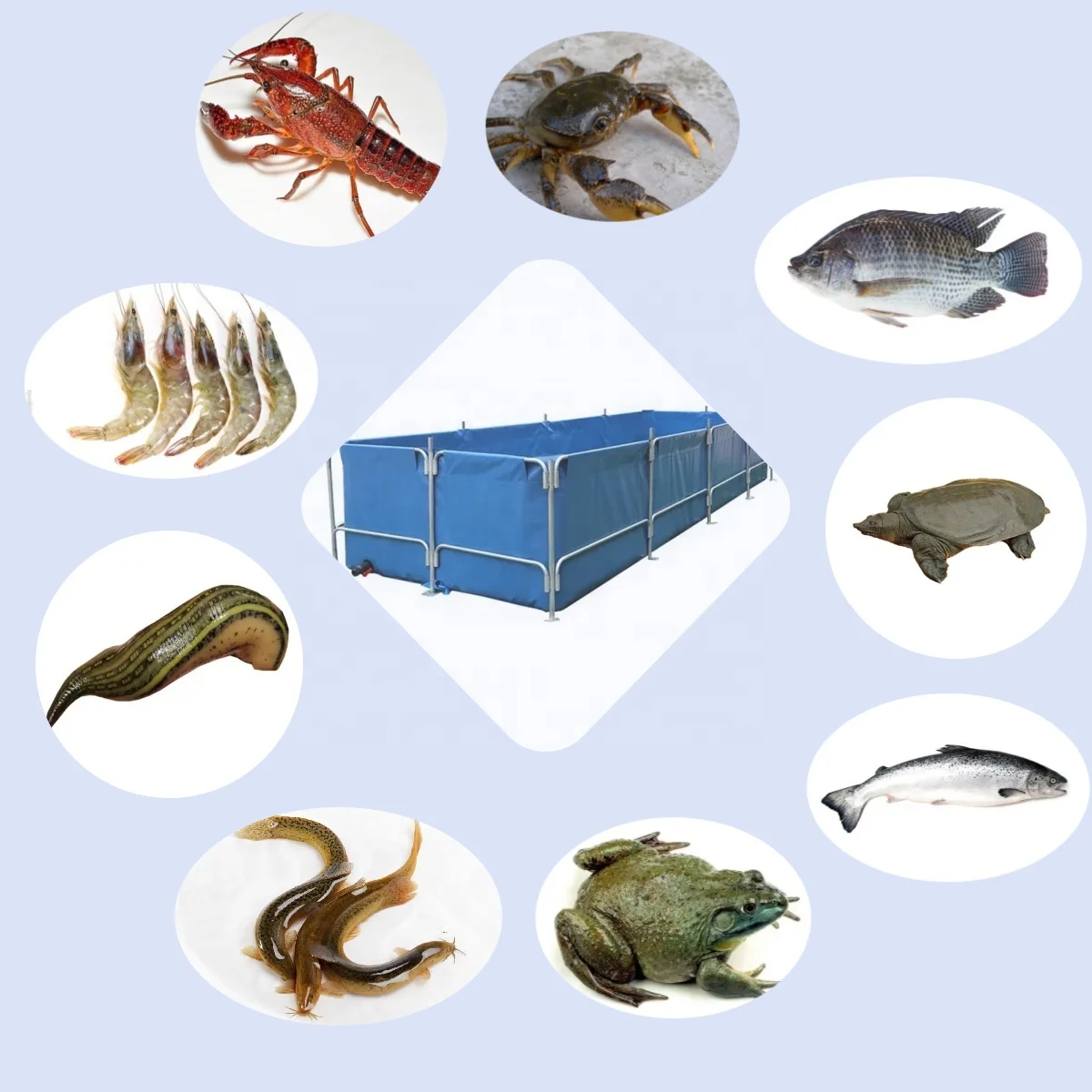 AIROW SDM 2024 New Aquaculture Large Outdoor Artificial Canvas Fish Pond Tanks for Fish Farming