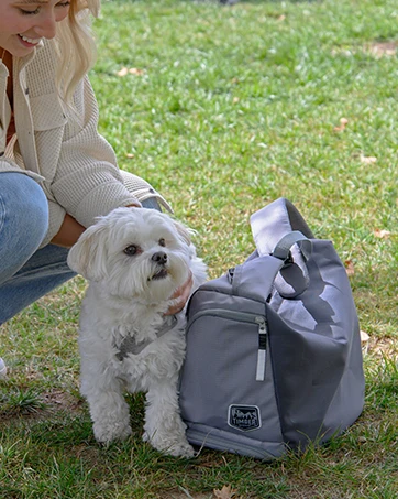 dog sling carrier