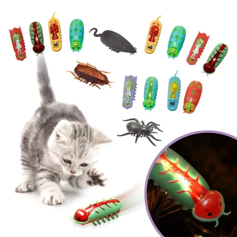 Mini Electric Bug Cat Toy 1