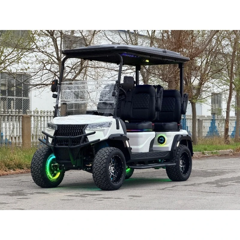 Electric Sightseeing Golf Trolley & Hunting Club Certification 48V Battery for Tour Sports