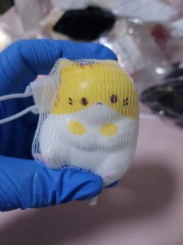 실물 포토 리뷰