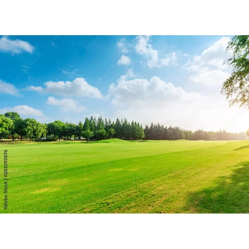 Puntelli di fotografia di paesaggio naturale erba verde e cielo blu con nuvole bianche sfondo fotografico puntelli da Studio 211223 KKLL-04