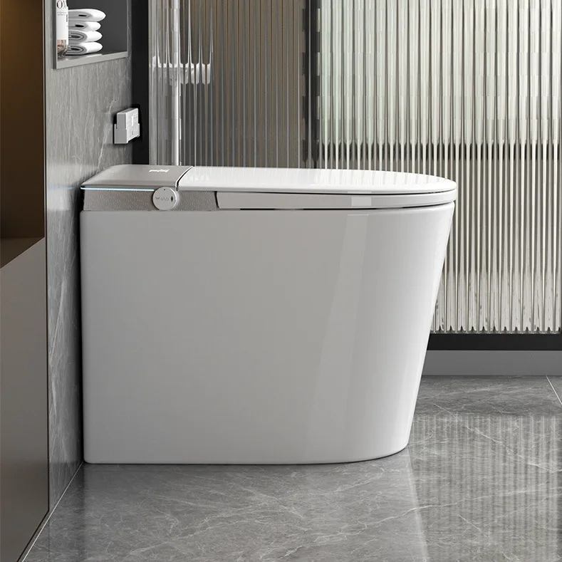 Intelligent Multi-Function Smart Toilet 58 cm Long with Small Size Remote Control & S-Trap Drainage Pattern Included
