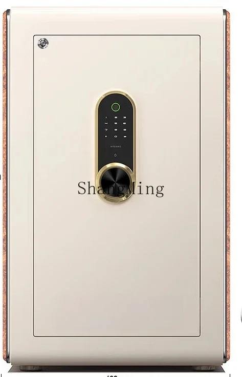 ZYY Home آمن ضد السرقة، بصمة الإصبع، كلمة المرور، التعرف على الوجه، آمن للمكتب المنزلي، كبير في الحائط