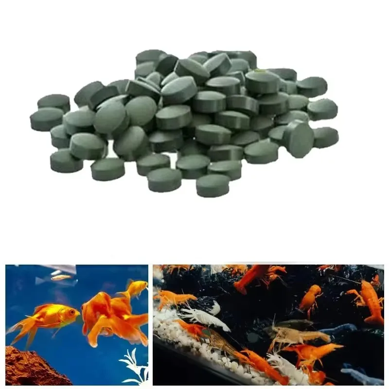 100/500/1000/2000 Stück Spirulina-Flocken Spirulina-Wafer für Wels Tropische Pflanzenalgen Großpackung Fischfutter Heißer Verkauf