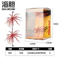 01-2p-1Box