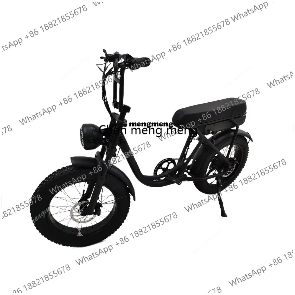 Snow Electric Bike 16-inch Double Drive Snow Electric Booster Dual Motor Electric Booster Bike Design