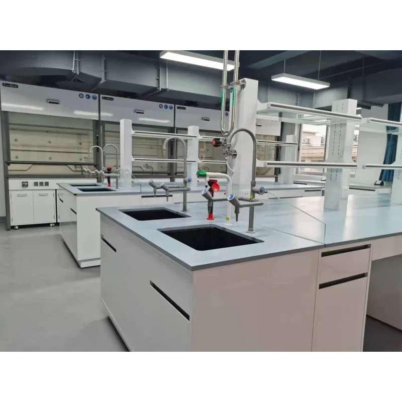 custom.Factory Stainless Steel Lab School & Workshop Use Customizable Size Chemical Resistant Laboratory Fur