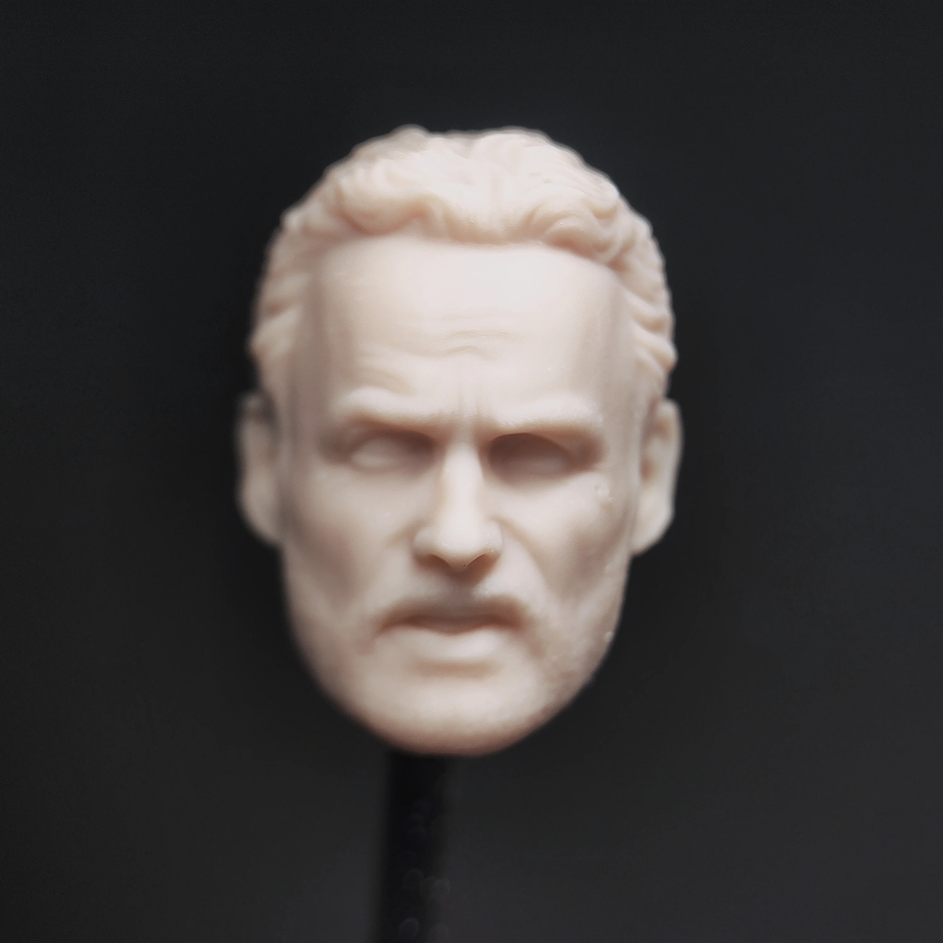 HL2031 DIY Customized 1/18 1/12 1/10 Scale Unpainted Head Sculpt for 3.75