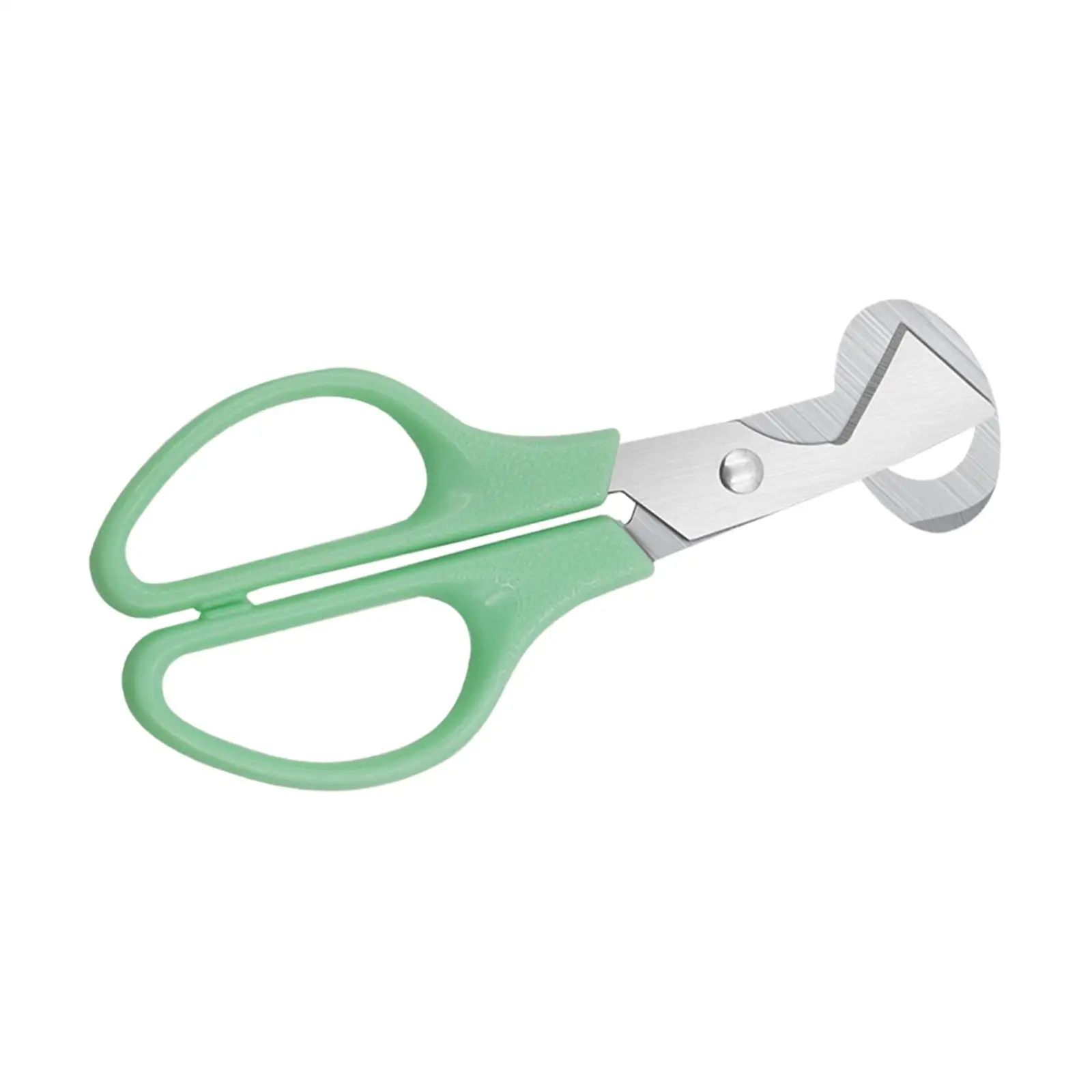 

Stainless Steel Egg Shell Cutter Separator Quail Egg Scissors Pigeon Bird Egg Opener for Kitchen Tool Home