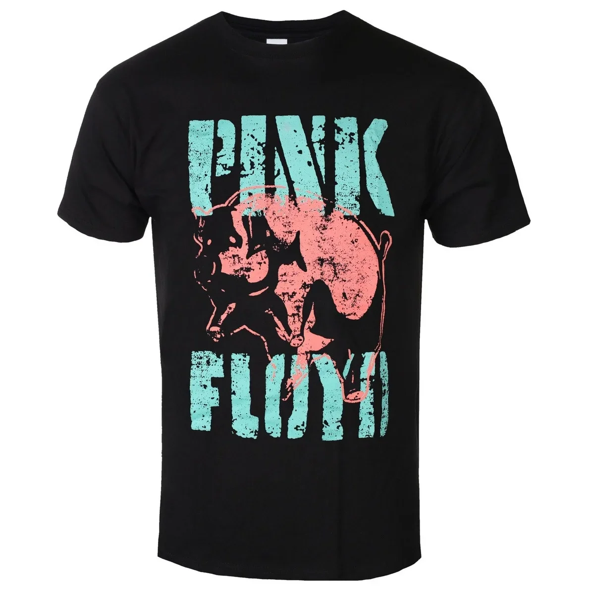 Pink Floyd Distressed Gold Tone 50 Year Mark Band Member Portrait Print Tee Retro 70s Vintage Psychedelic Rock Daily