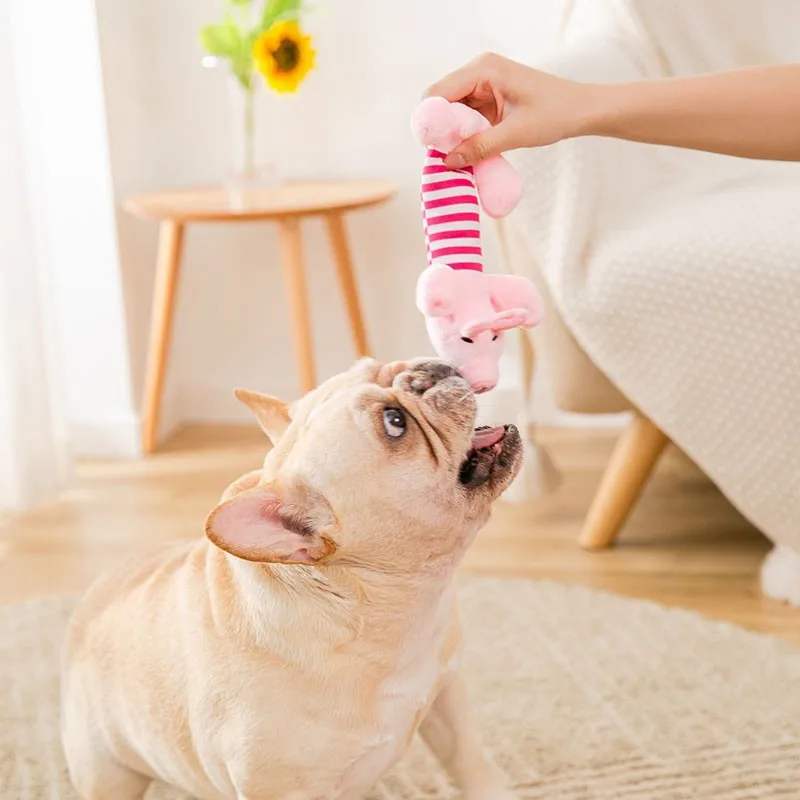 Niedliches Haustier, Hund, Katze, Plüsch, Quietschgeräusch, Hundespielzeug, lustiges Fleece, Haltbarkeit, Kauspielzeug, passend für alle Haustiere