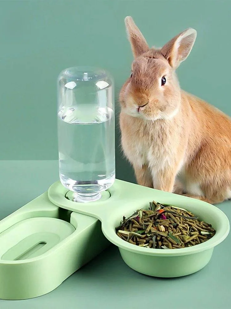 auto-feeder-pet-rabbit-chinchilla-guinea-pig-food-bowl-alli-no-brand-registered-trademark-origin-china-kh223329