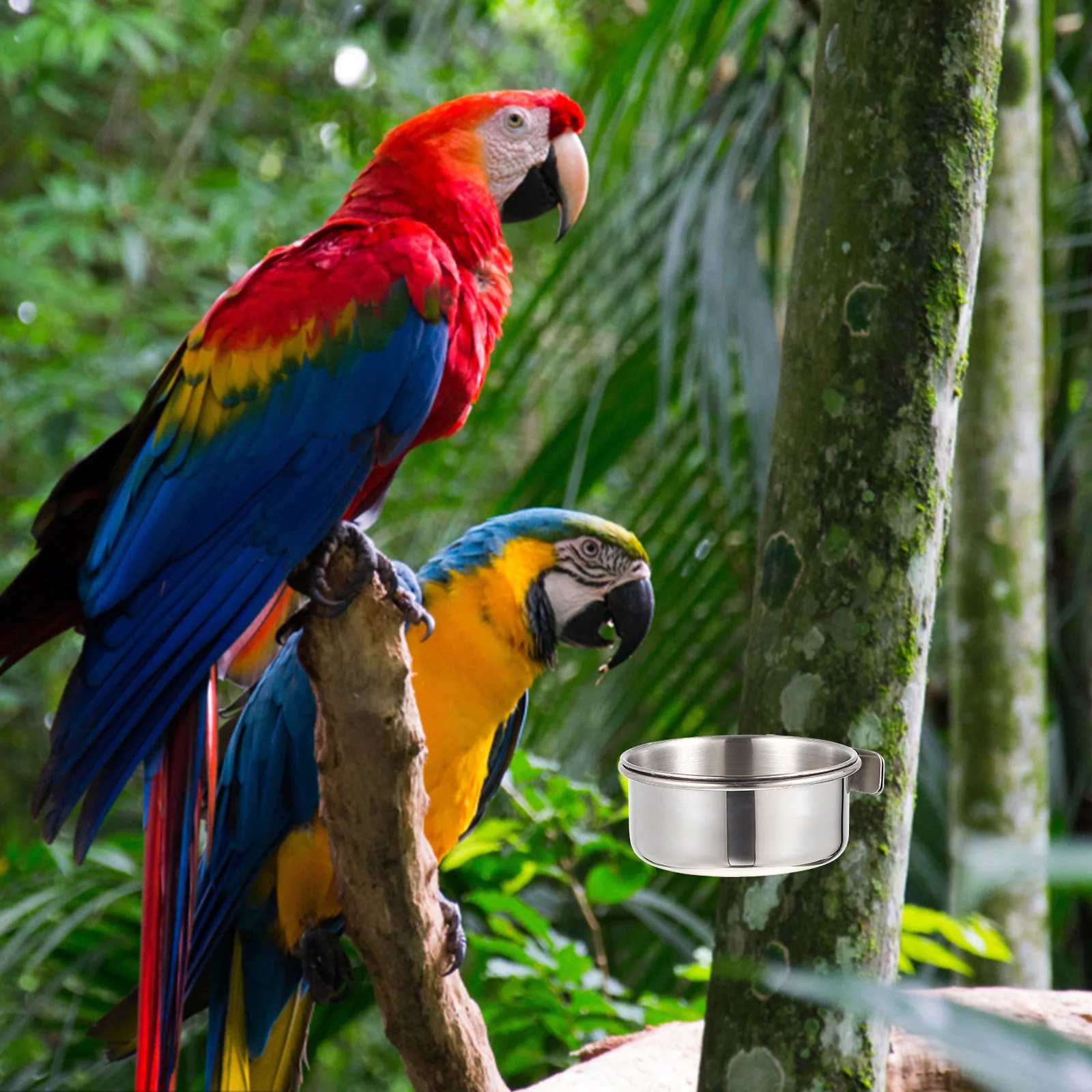 2 ensembles de Cage à perroquets, bol de nourriture, jouets pour lapin, tasse d'alimentation pour oiseaux, conteneur de voyage en argent