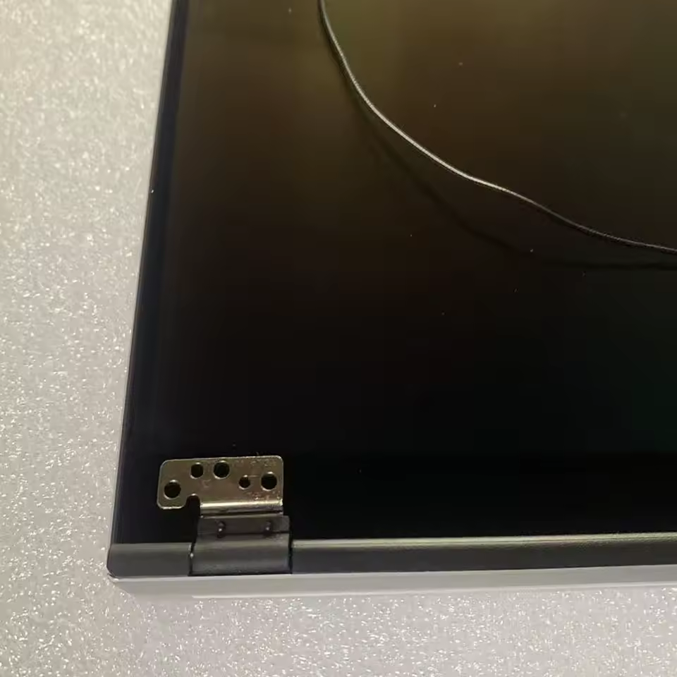 G16 OLED 패널 전면