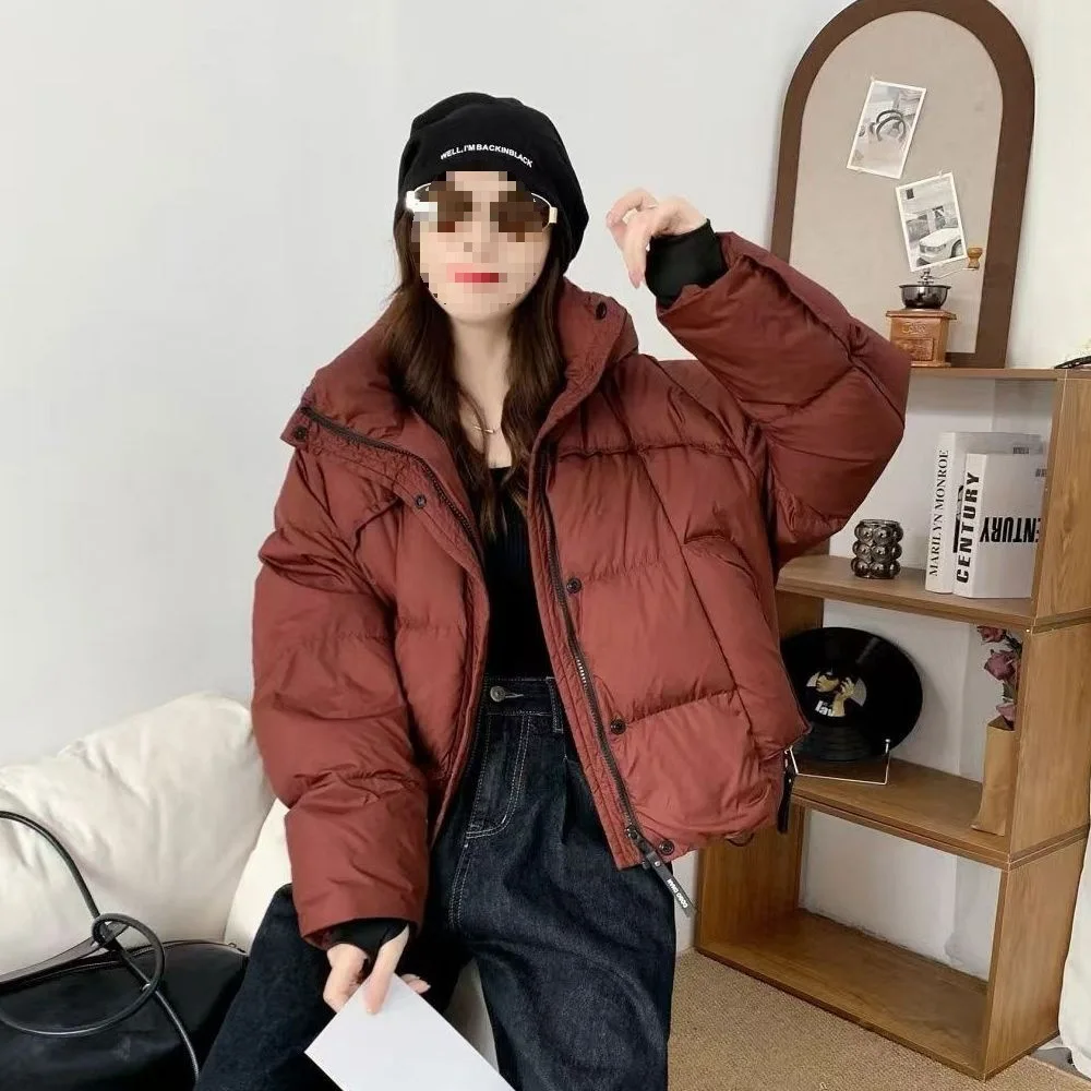 Pain ample mode petite taille vêtements d'extérieur noir 2025 nouveau Style coréen doudoune à capuche hiver court épaissi