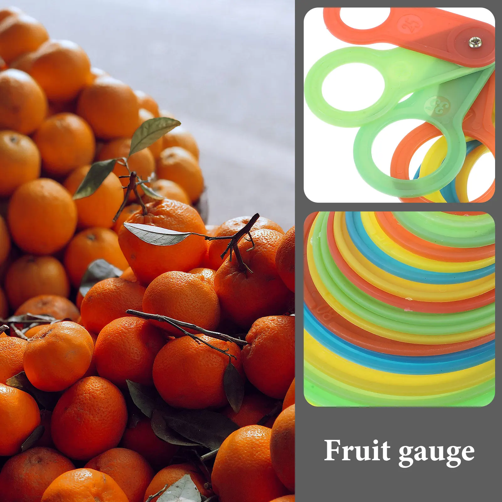 

Fruit Grading Circle 25mm to 110mm Diameter Measuring Tool for Peaches Fruits Picking Easy Clean Hygiene Producer