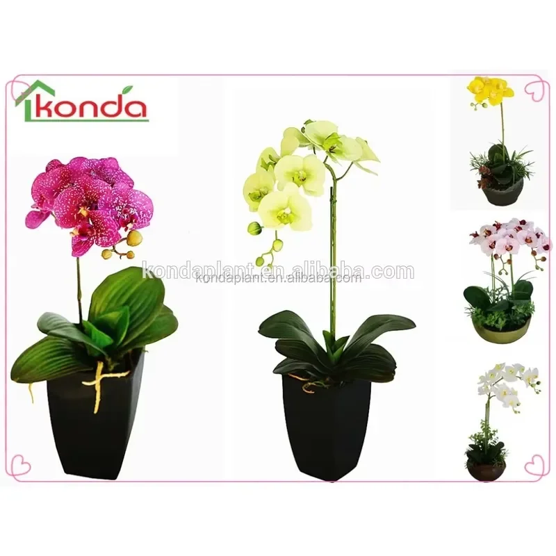 New Arrived Customized Colorful Black Flask Artificial Orchid Flowers Plants for Sale
