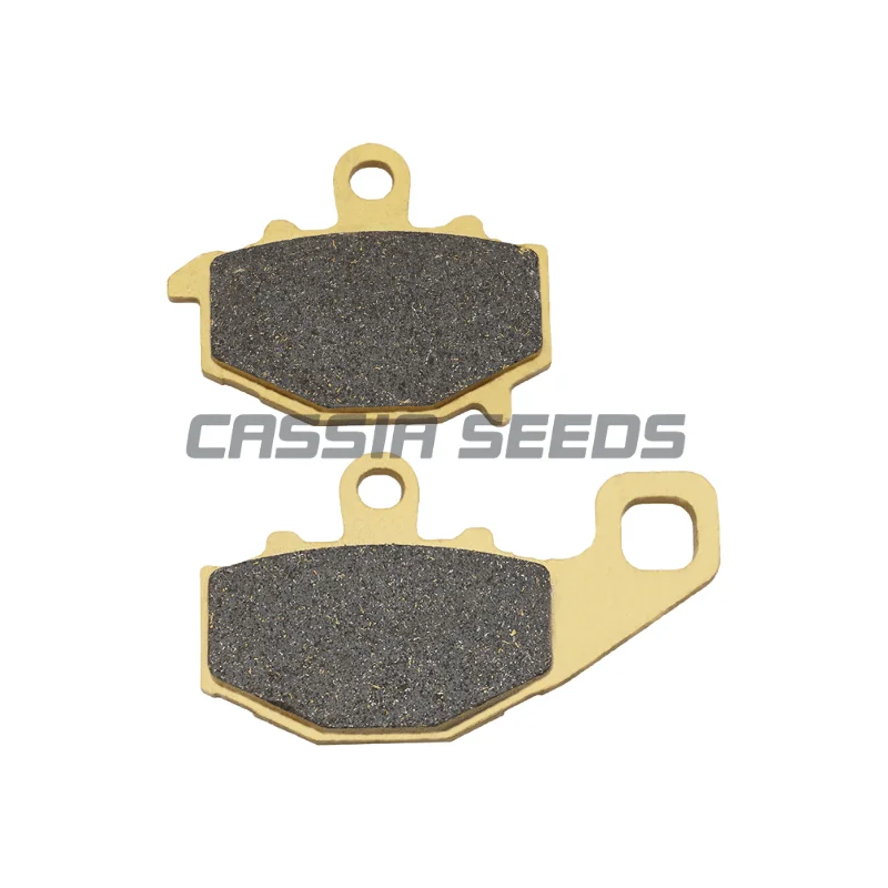 Motorcycle front and rear brake pads for Kawasaki ZX9R ZX-9R 2002-2004 Z1000 2003-2006