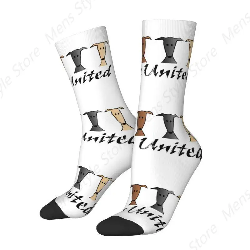 Cute Mens Galgos United Greyhound Dress Socks Unisex Warm Breathbale 3D Print Sighthound Whippet Dog Crew Socks