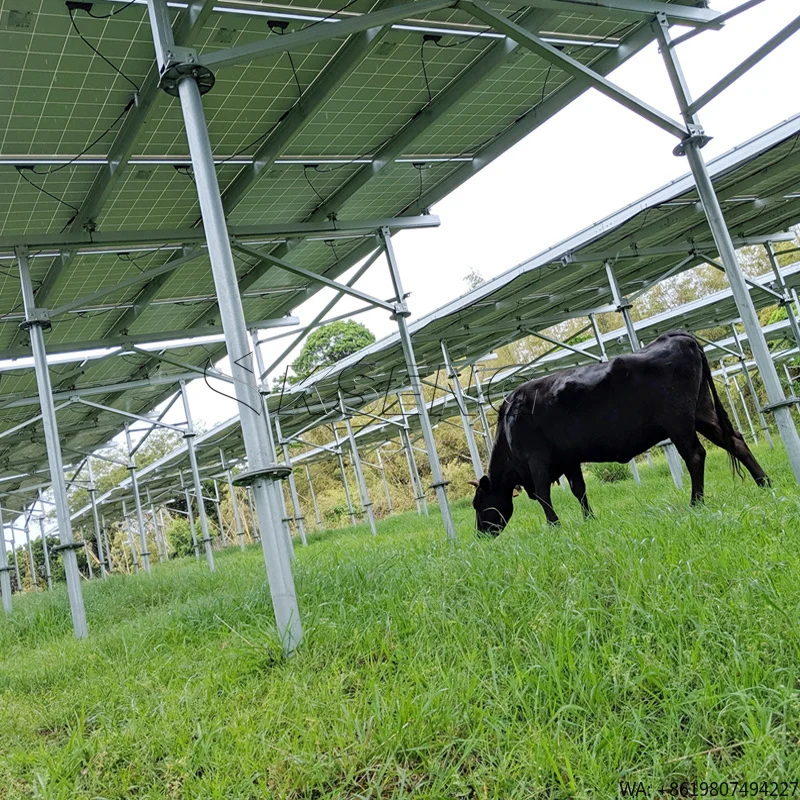 1MW Kseng Agriculture Solar Bracket System Energy Kit  Ground Mounting System Farm