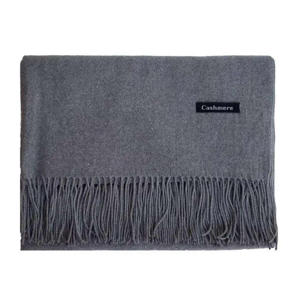 Thickened Faux Cashmere Tassel Women Scarf Solid Color Scarf Wide Long Cozy Windproof Cold Resistant Decorative Ladies Scarf