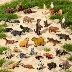 Hand Painted Forest Animal Simulation Models Otters Meerkat Beaver Raccoon Badger Capybara Collectible Decor Toy For Kids