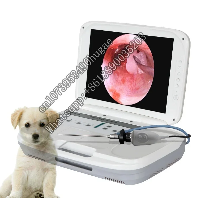 Veterinary Arthroscopic and Laparoscopic Surgery System