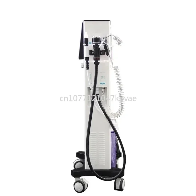 

Alice Super Bubble Hydra Microdermabrasion Facial Machine Best Quality 7 in 1 Hydrofacials Diamond Dermabrasion Machine CO2