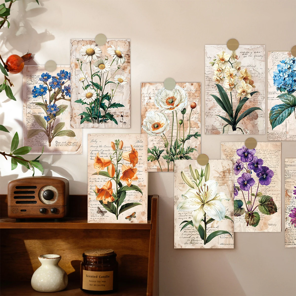 20pcs Retro Floral Wall Collage Cards With Sticker,Charming Aesthetics Botanical Illustration,Home Or Gallery Decor,Party Favor